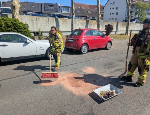 17.  April 2026, Einsatz Hilfeleistung