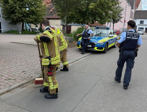 05. Juni 2026, Einsatz Hilfeleistung