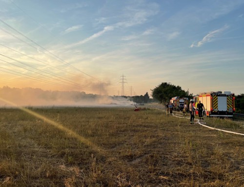 27. Juni 2026, Einsatz Brandalarm