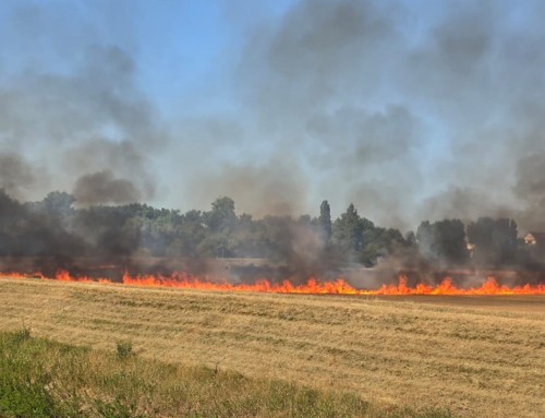 11. Juli 2026, Einsatz Brandalarm