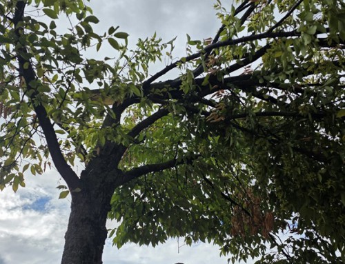 31. August 2026, Einsatz Hilfeleistung